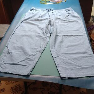 Jenny Buchanan Light Blue Women's 2X Cotton Casual Pants Cottagecore